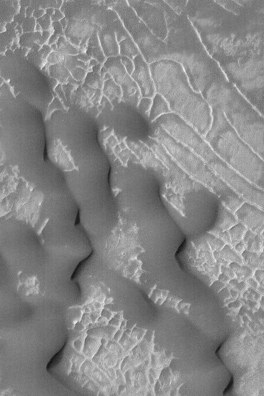 NASA's Mars Global Surveyor shows dark, windblown sand dunes have over-ridden a suite of low, somewhat rectilinear ridges on the floor of an impact crater on Mars.