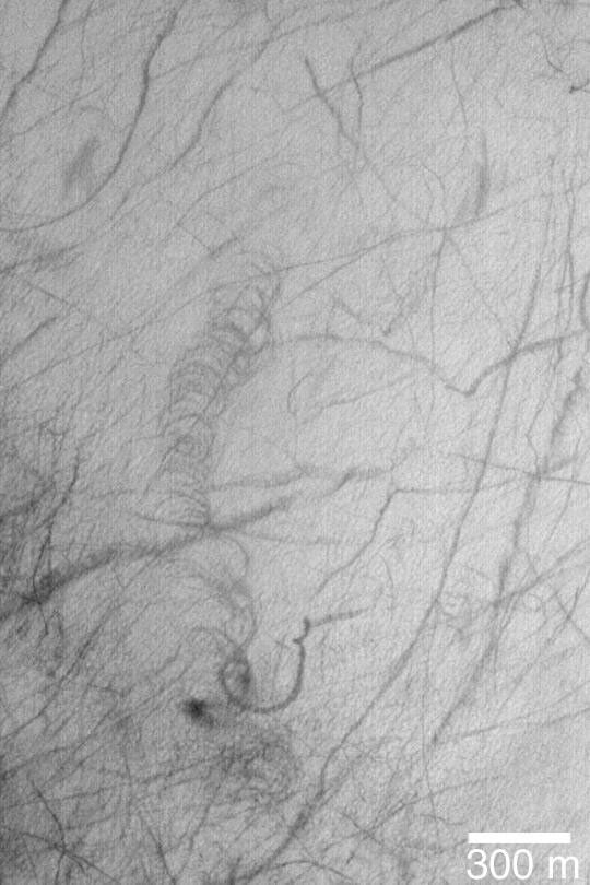 NASA's Mars Global Surveyor shows a spiraling feature known as a cycloidal marking on Mars.