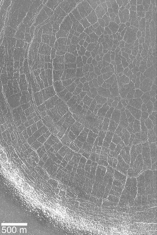 Spiders from Mars? - NASA Science