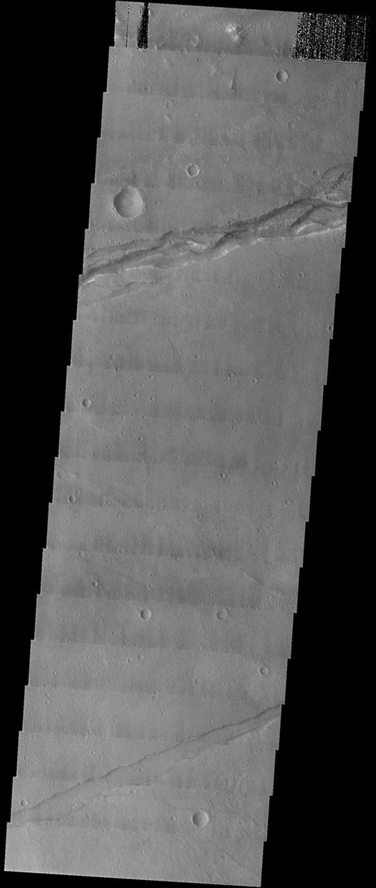 NASA's Mars Odyssey spacecraft captured this image in August 2003, showing curious graben on the floor of Sirenum Fossae on Mars. The braided pattern suggests that water has flowed through this fracture in the past.