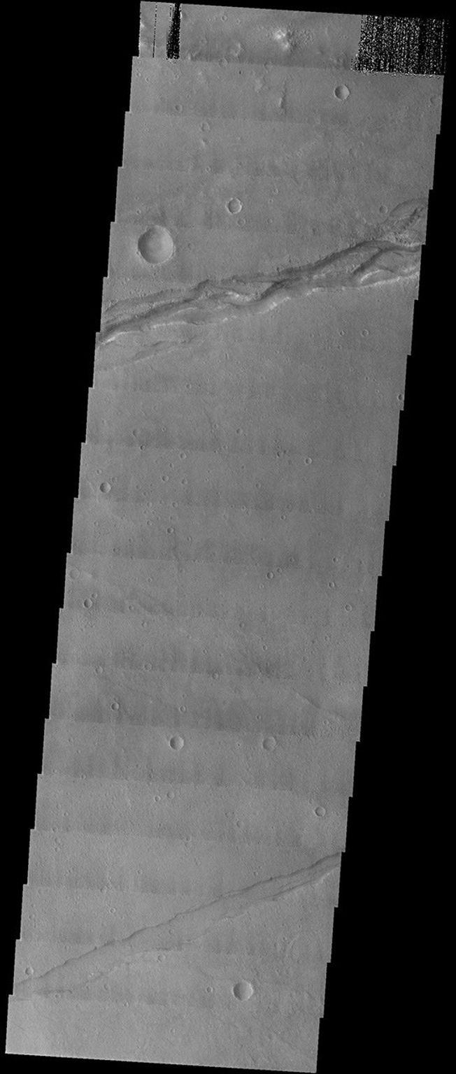 NASA's Mars Odyssey spacecraft captured this image in August 2003, showing curious graben on the floor of Sirenum Fossae on Mars. The braided pattern suggests that water has flowed through this fracture in the past.
