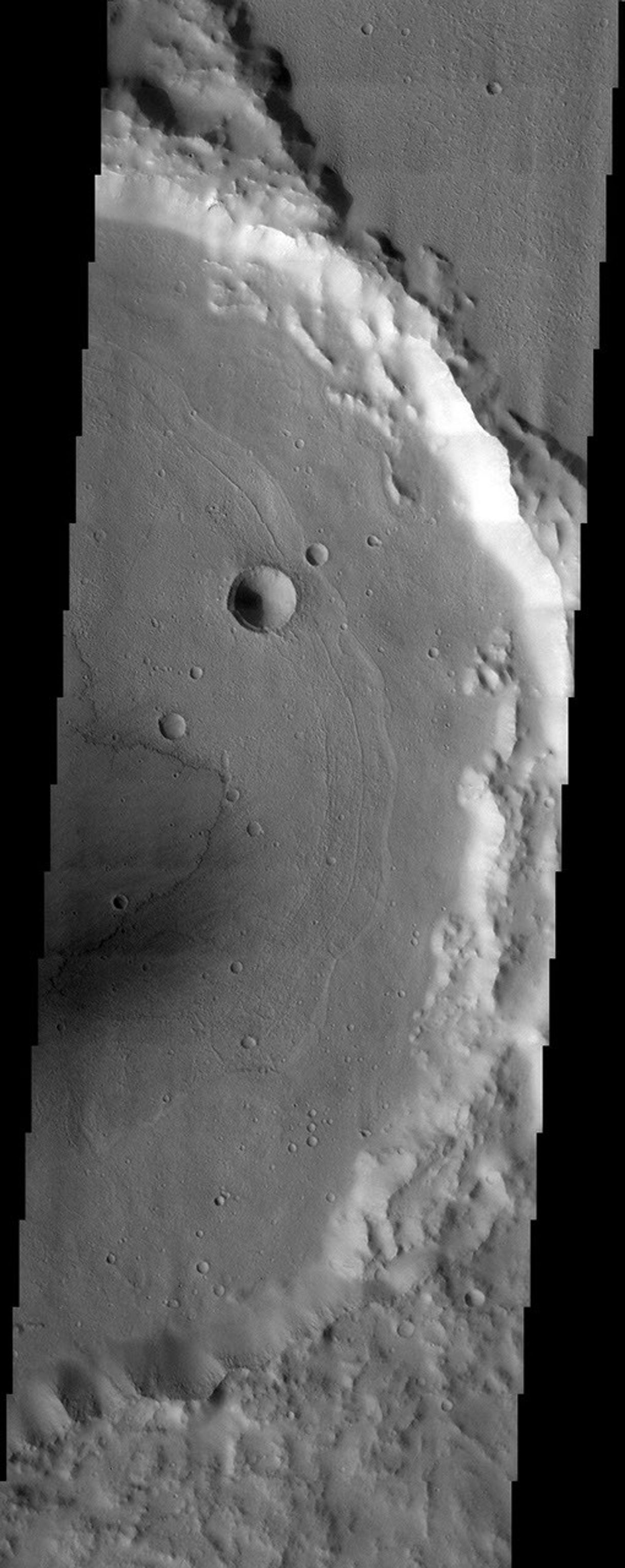 NASA's Mars Odyssey spacecraft captured this image in September 2003, showing concentric crater floor deposits in Daedalia Planumon Mars. Lava flows appear to be converging on this crater from the northeast as well as on the crater floor.