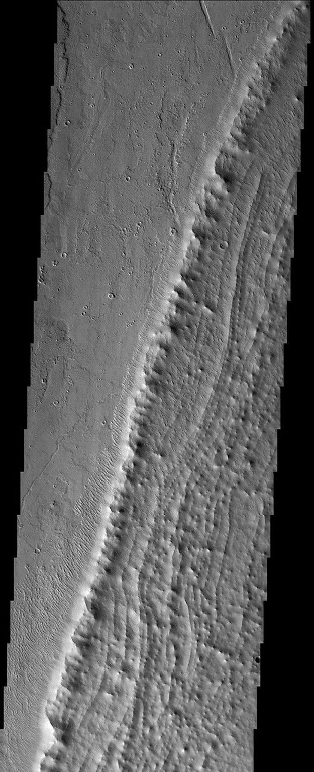 NASA's Mars Global Surveyor shows displays an aureole deposit at the base of the massive volcano Pavonis Mons' western flank on Mars.