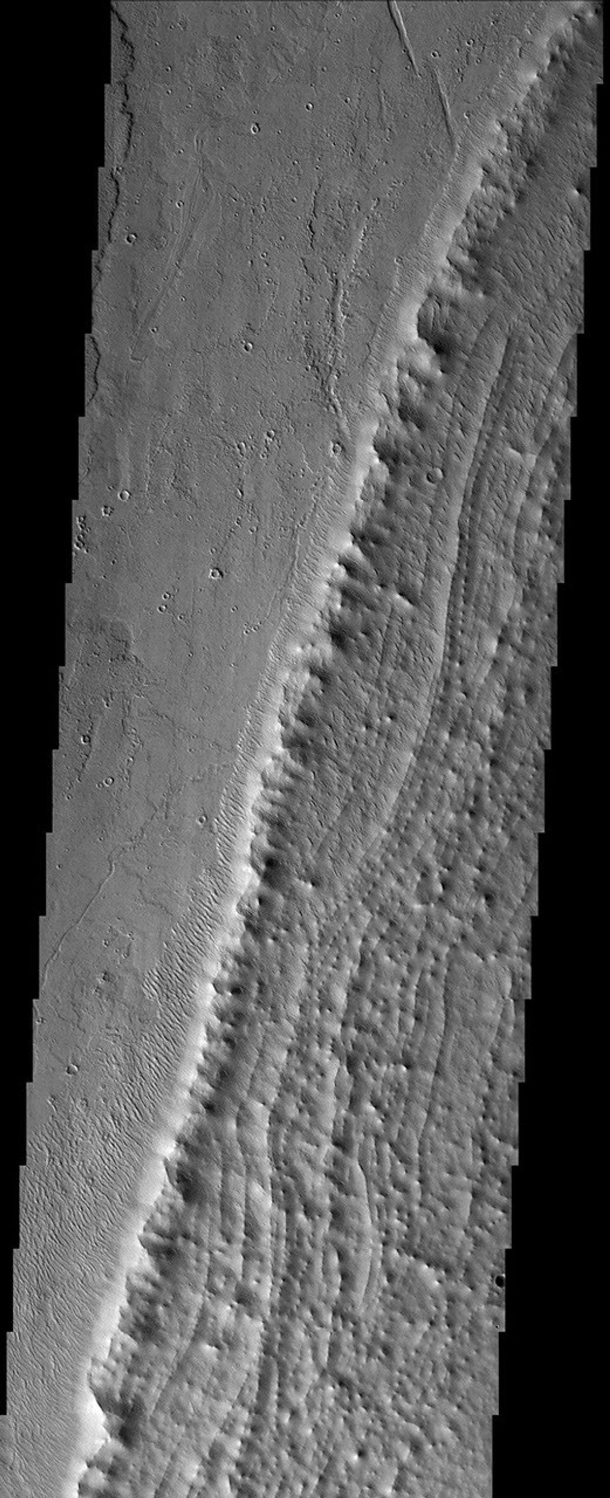 NASA's Mars Global Surveyor shows displays an aureole deposit at the base of the massive volcano Pavonis Mons' western flank on Mars.