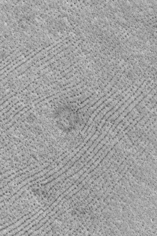 NASA's Mars Global Surveyor shows