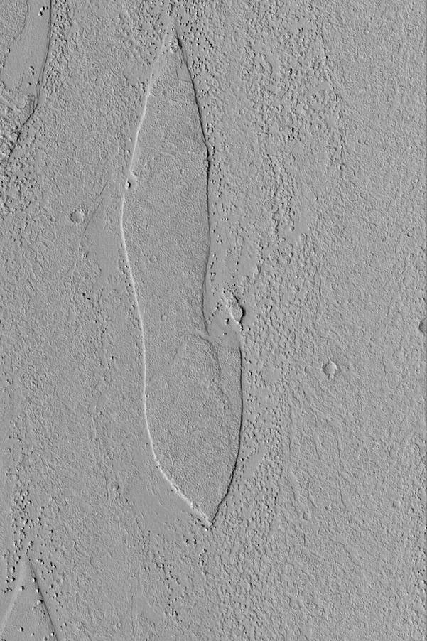 NASA's Mars Global Surveyor shows