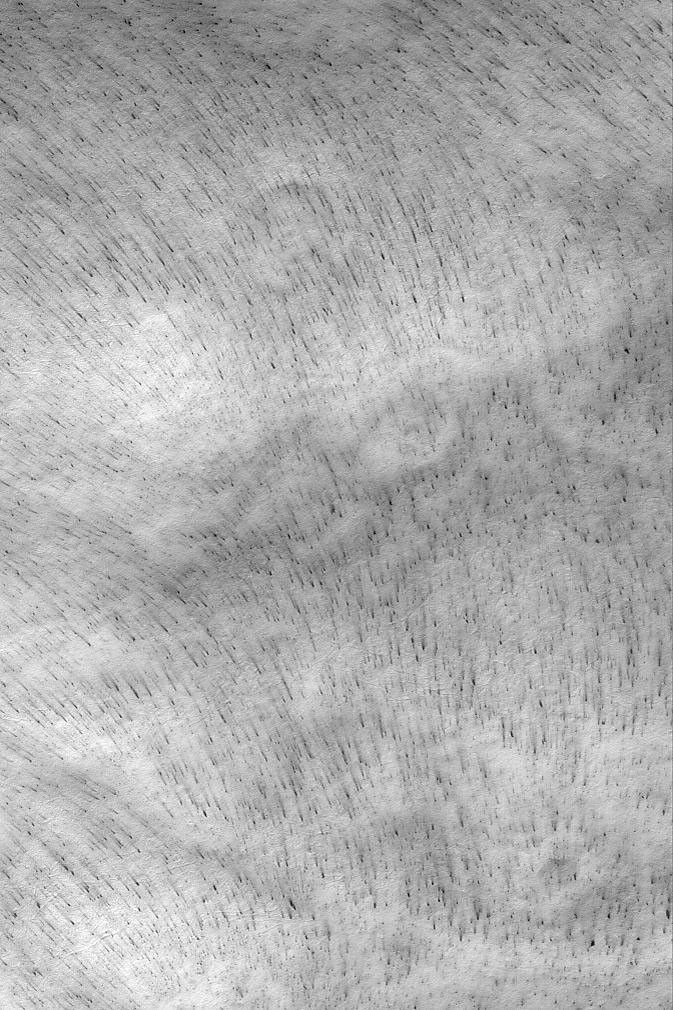 NASA's Mars Global Surveyor shows