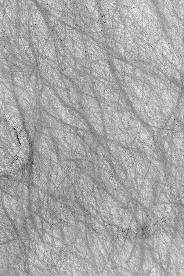 NASA's Mars Global Surveyor shows