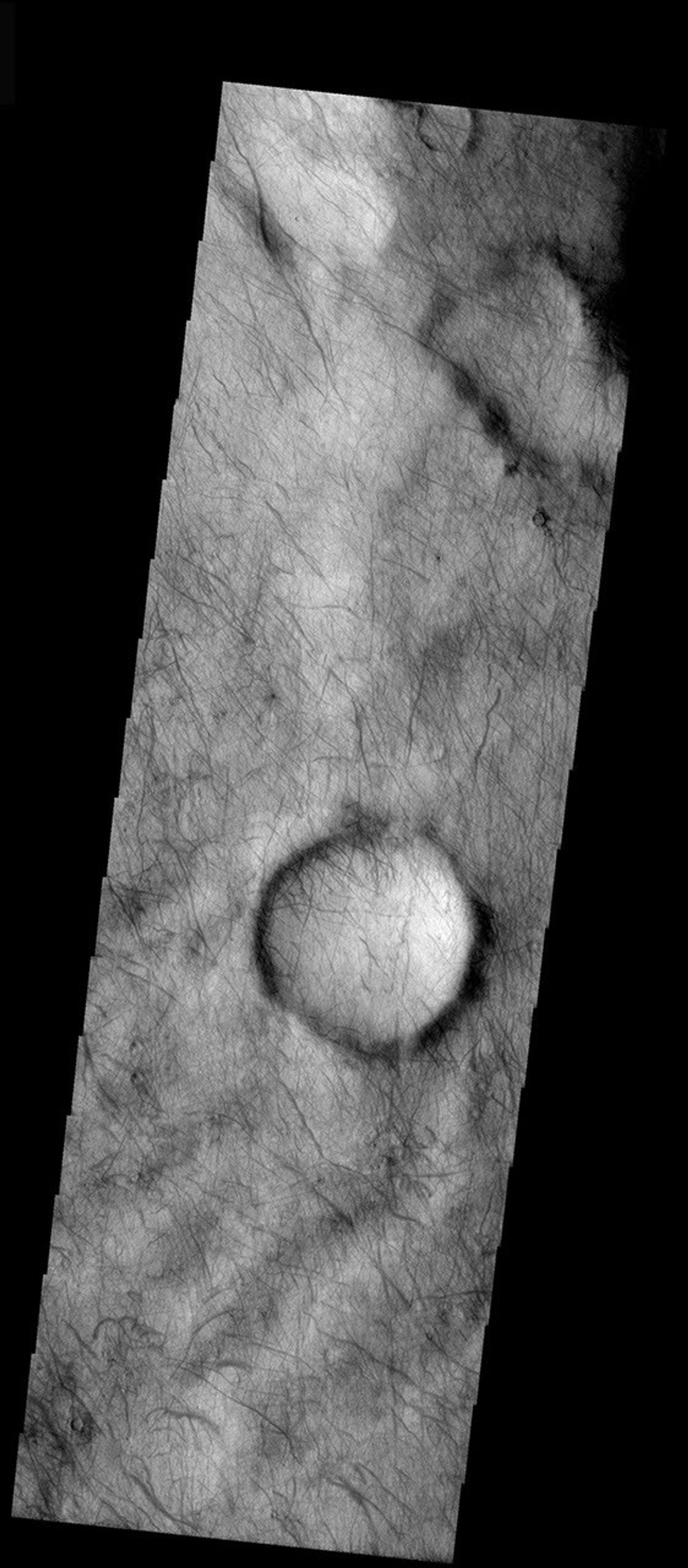 
			Dust Devils - NASA Science			