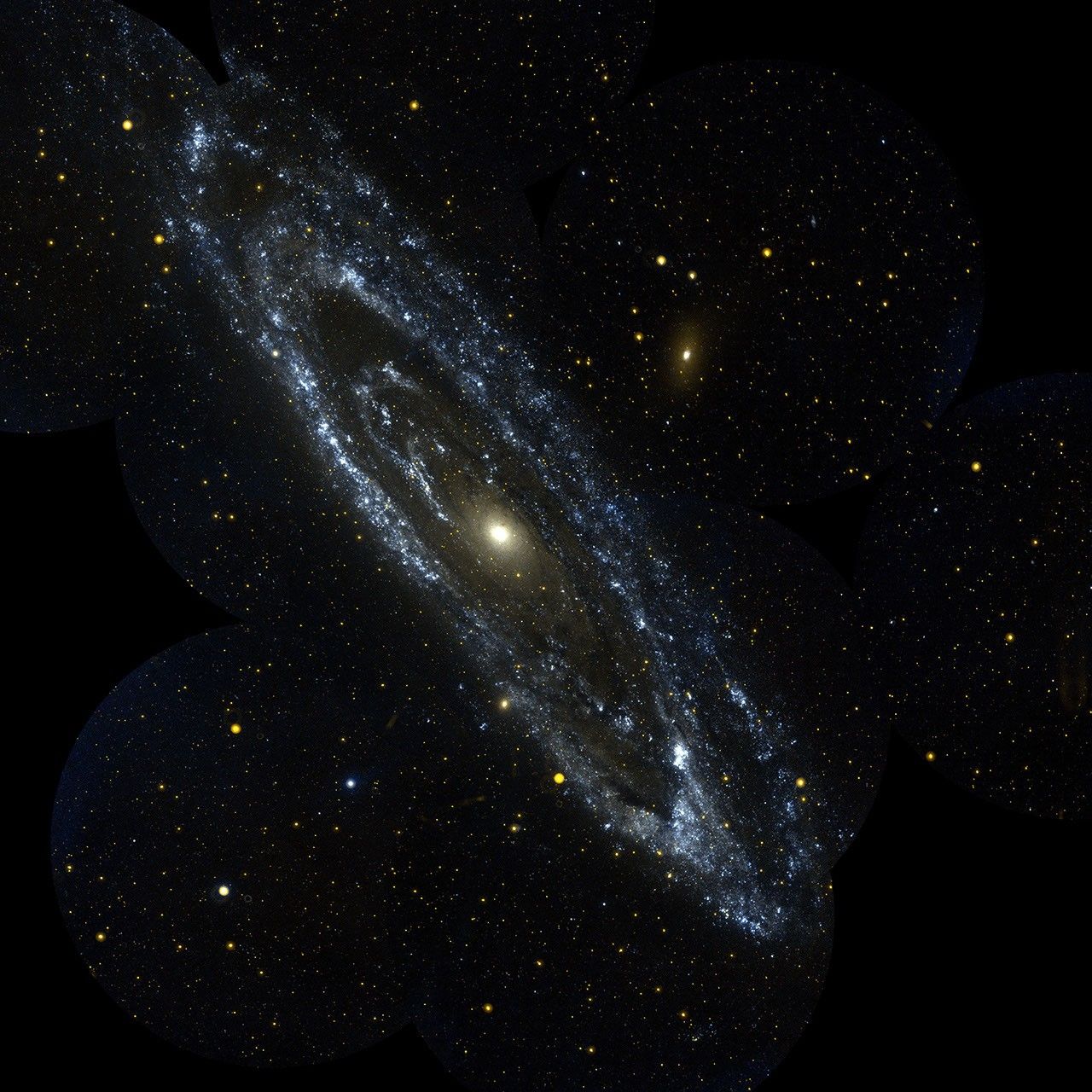 This image is from NASA's Galaxy Evolution Explorer is an observation of the large galaxy in Andromeda, Messier 31. The Andromeda galaxy is the most massive in the local group of galaxies that includes our Milky Way.