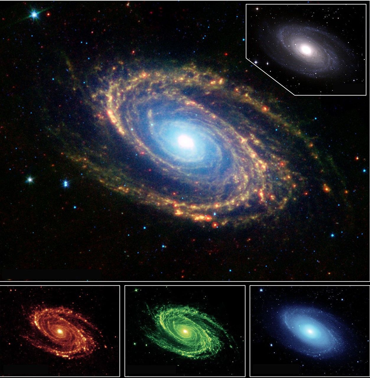 Multi-Wavelength Views of Messier 81 - NASA Science