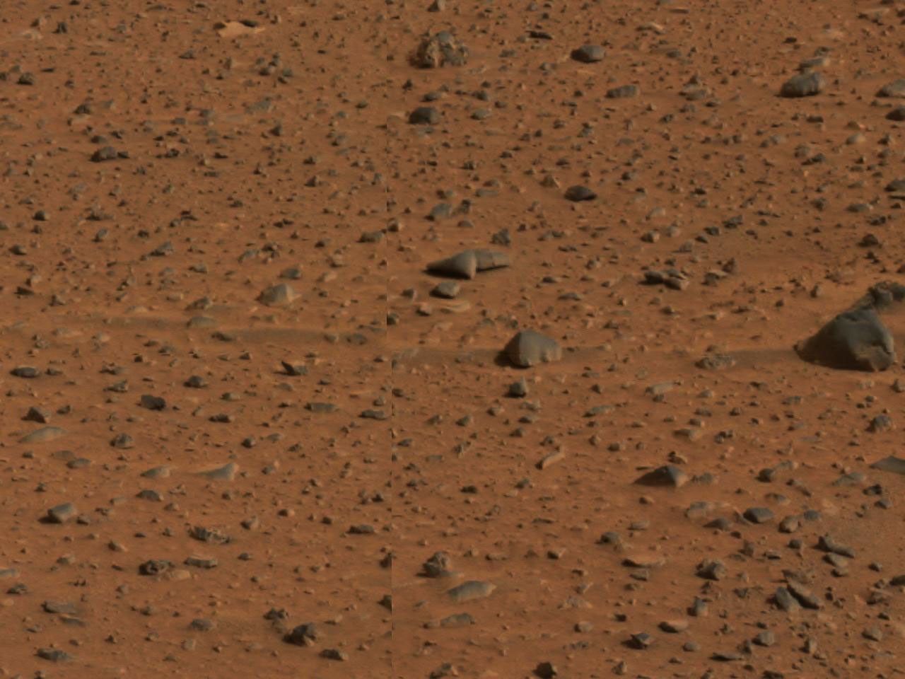 This image highlights streaks or tails of loose debris in the martian soil, which reveal the direction of prevailing winds. The picture was taken by the panoramic camera onboard NASA's Mars Exploration Rover Spirit.