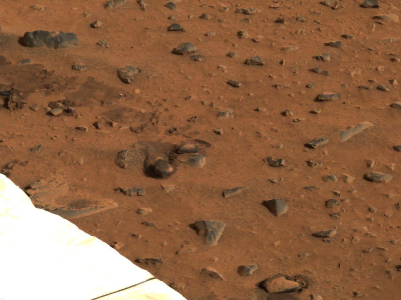 This segment of the first color image from the panoramic camera onboard NASA's Mars Exploration Rover Spirit shows the rover's airbag trails (upper left). These depressions in the soil were made when the airbags were deflated and retracted after landing.