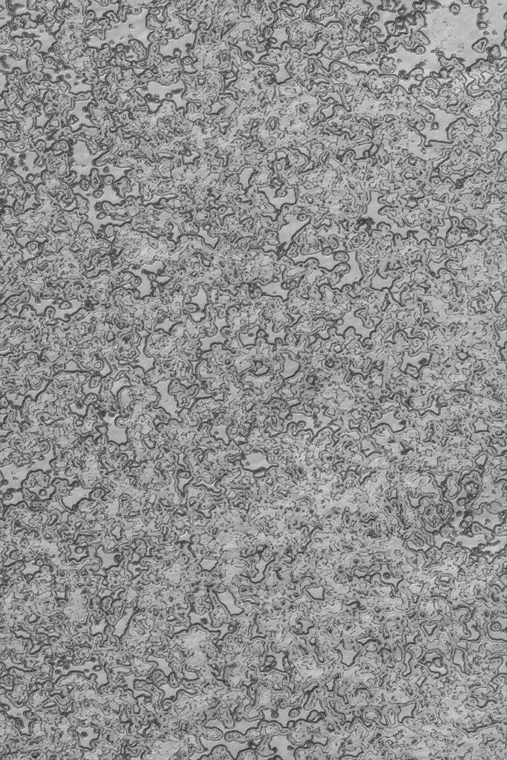 NASA's Mars Global Surveyor shows