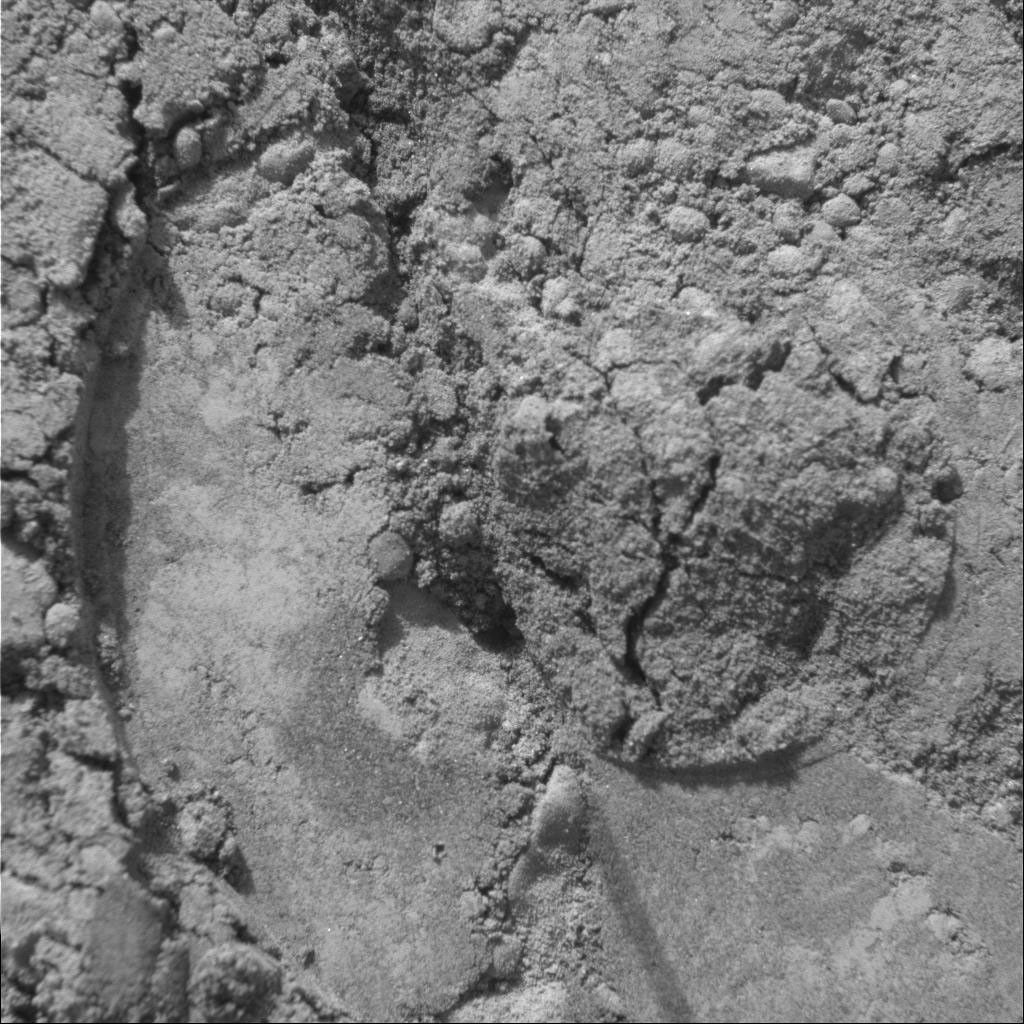 This image, taken by the microscopic imager onboard NASA's Mars Exploration Rover Spirit, reveals an imprint left on martian soil by another instrument, the Moessbauer spectrometer. The imprint is within the rover wheel track named 'Middle of Road.'