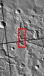 figure 1 for PIA05356