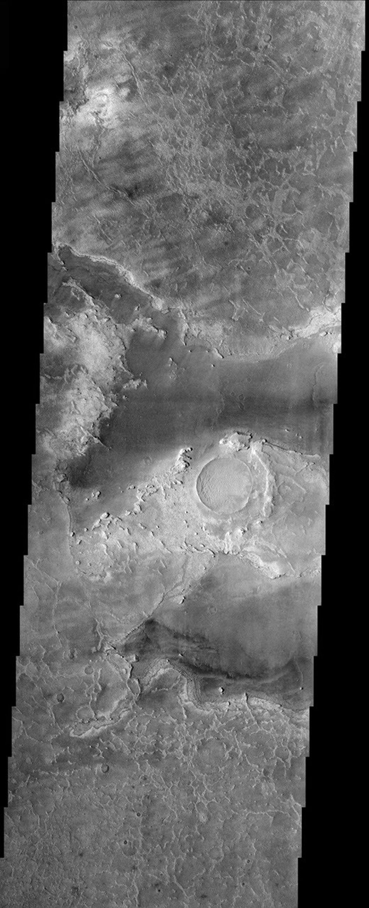 This image, part of an images as art series from NASA's 2001 Mars Odyssey released on March 5, 2004 shows a martian landscape resembling a guppy.