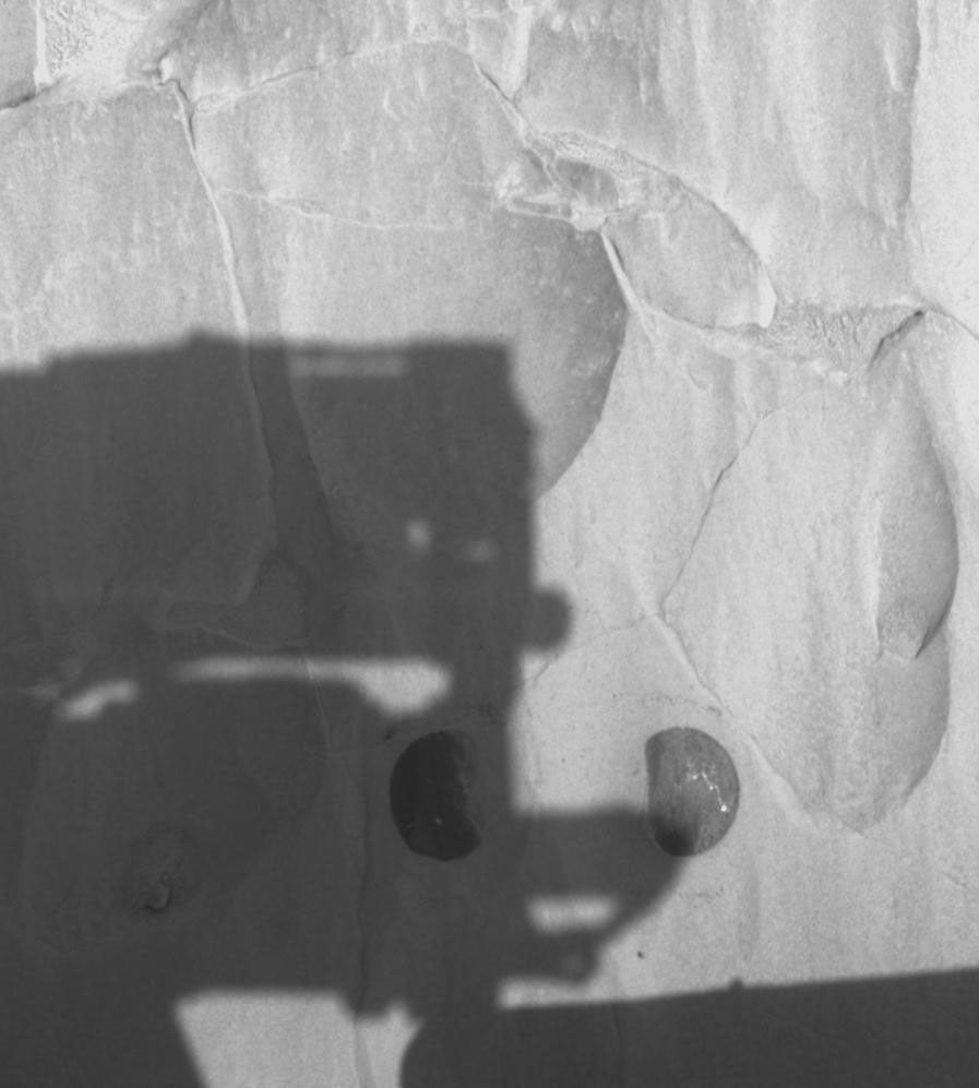 This image was taken by NASA's Mars Exploration Rover Spirit after completing a two-location brushing on the rock dubbed 'Mazatzal.' A coating of fine, dust-like material was successfully removed from targets, revealing clean rock underneath.