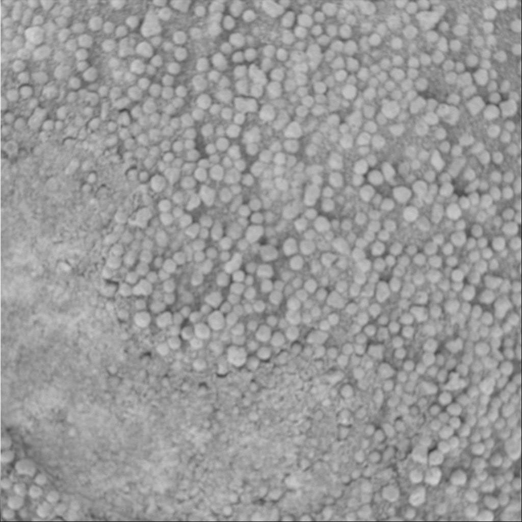 The image from NASA's Mars Exploration Rover Opportunity features small grains one millimeter (0.04 inch) or less in size and somewhat lighter in color than those in other soil units observed in Eagle Crater.