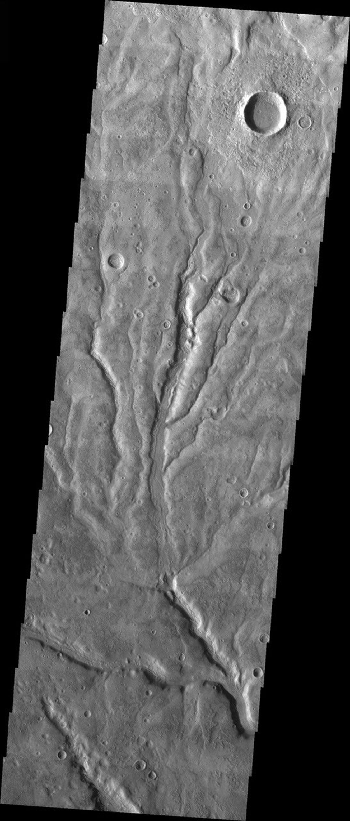 This image from NASA's 2001 Mars Odyssey released on March 26, 2004 shows an area in the Warrego Valles region on Mars. The image shows multiple channels dissecting the terrain.