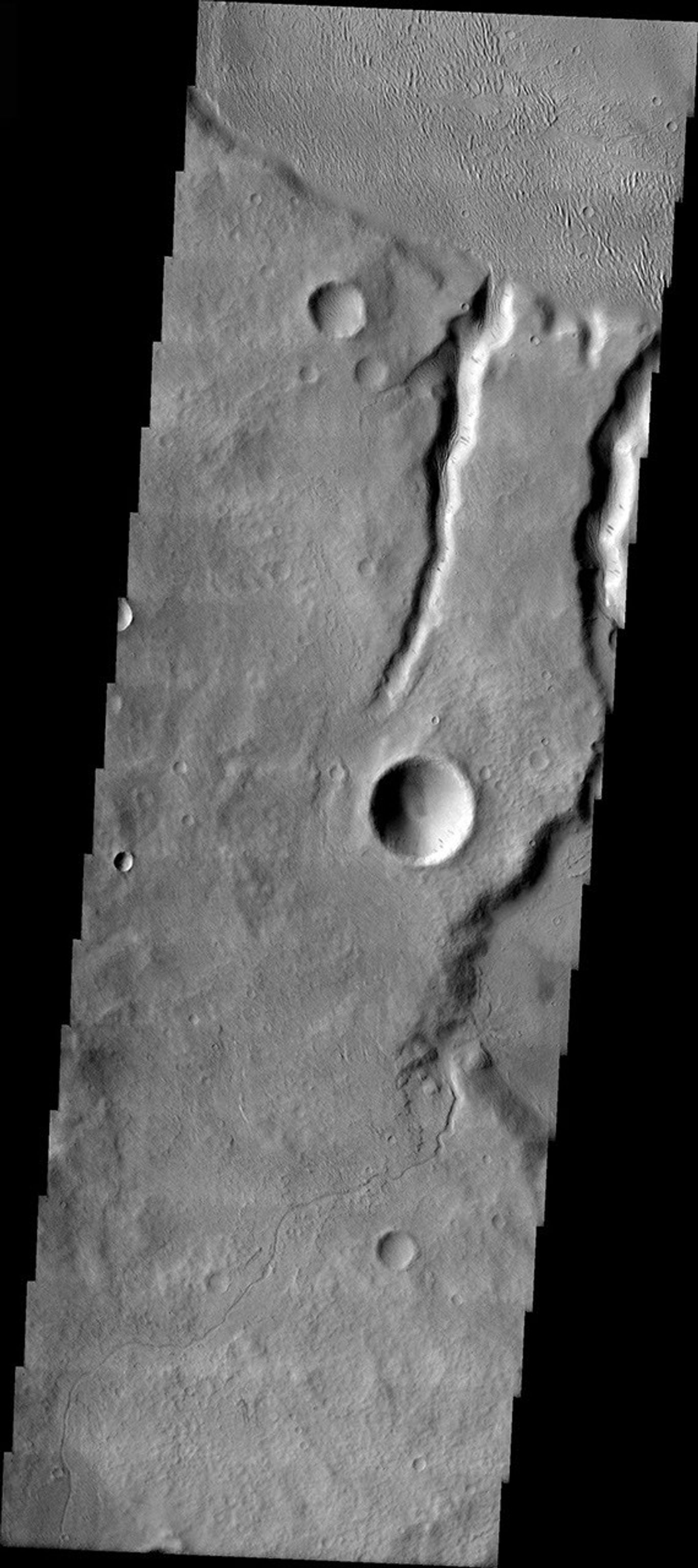 This image from NASA's 2001 Mars Odyssey released on April 1, 2004 shows a channel near the martian feature called Alba Patera on Mars. The image shows multiple possibly liquid formed channels.
