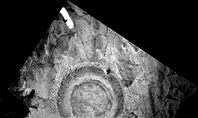 This image shows the hole drilled by NASA's Mars Exploration Rover Opportunity's rock abrasion tool into the rock dubbed 'Bounce.' The tool drilled about 7 mm into the rock and generated small piles of 'tailings' or rock dust around the central hole.