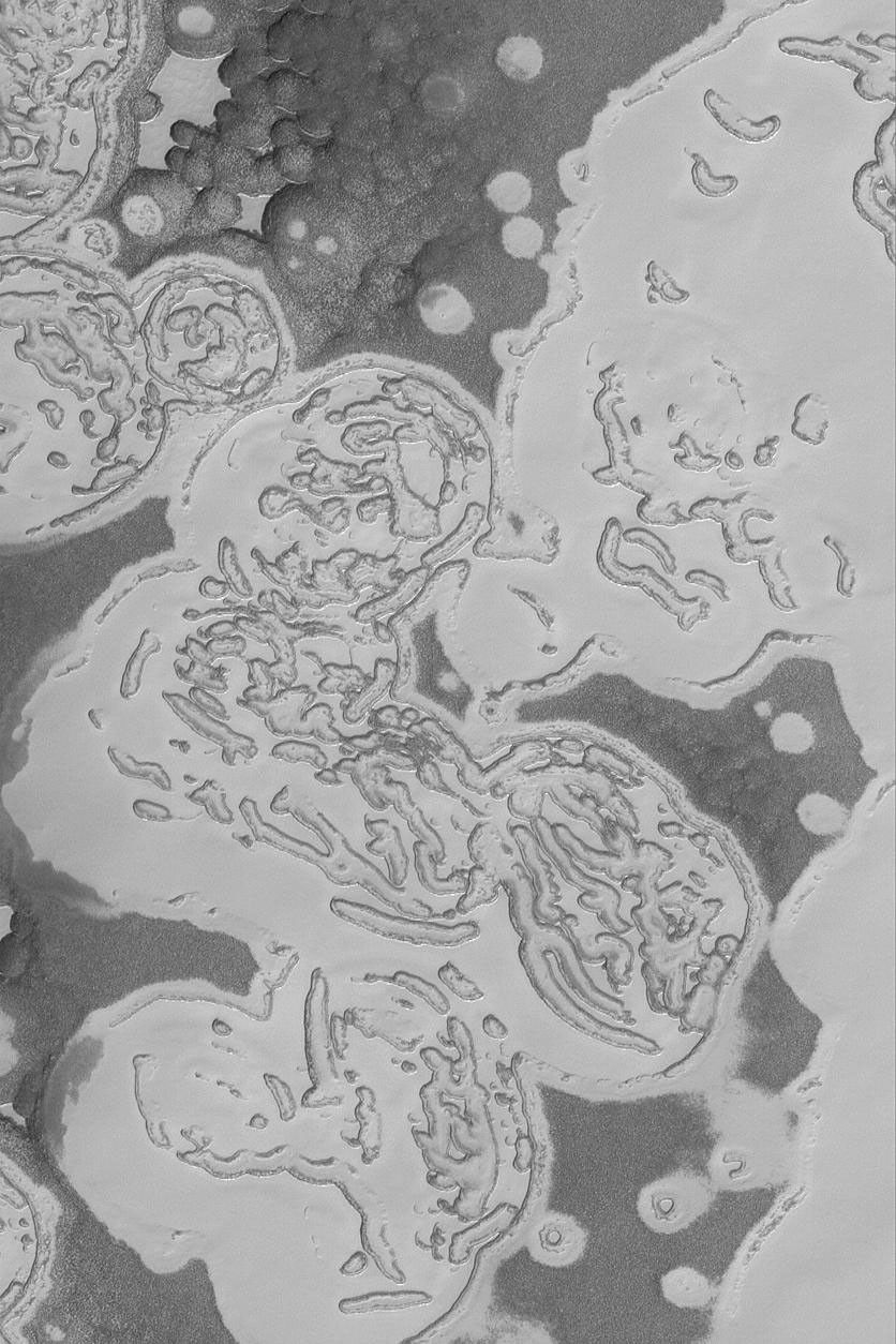 NASA's Mars Global Surveyor shows martian south polar residual ice cap is mostly made of frozen carbon dioxide.
