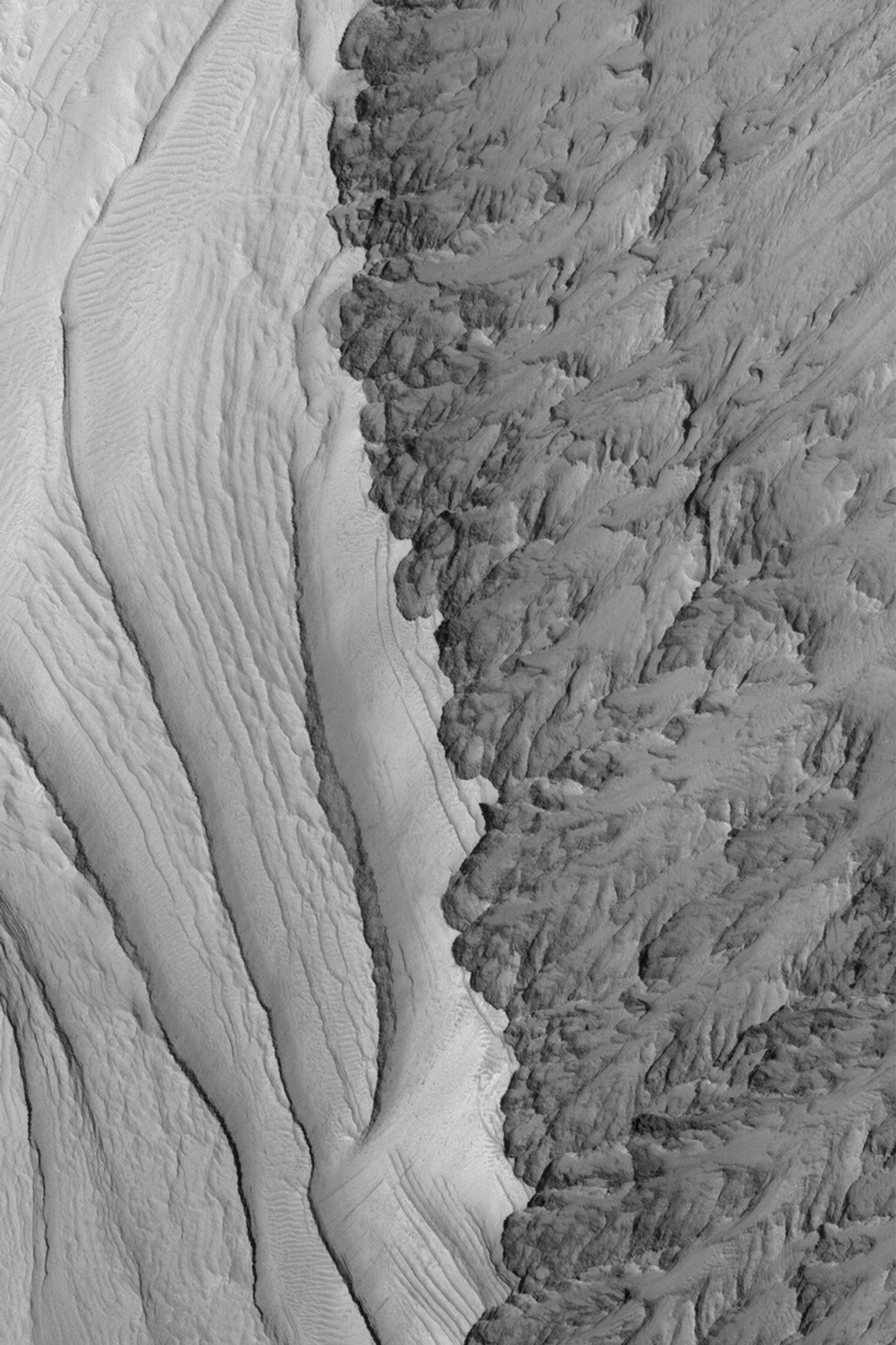 NASA's Mars Global Surveyor shows