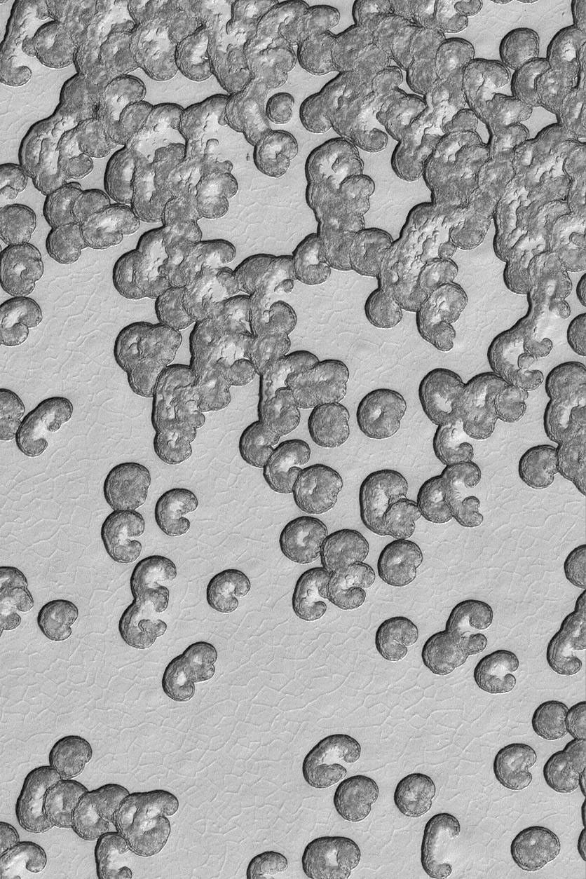 NASA's Mars Global Surveyor shows a small portion of the south polar cap as it appeared in mid-summer in January 2004. The dark areas may be places where the frozen carbon dioxide contains impurities, such as dust.