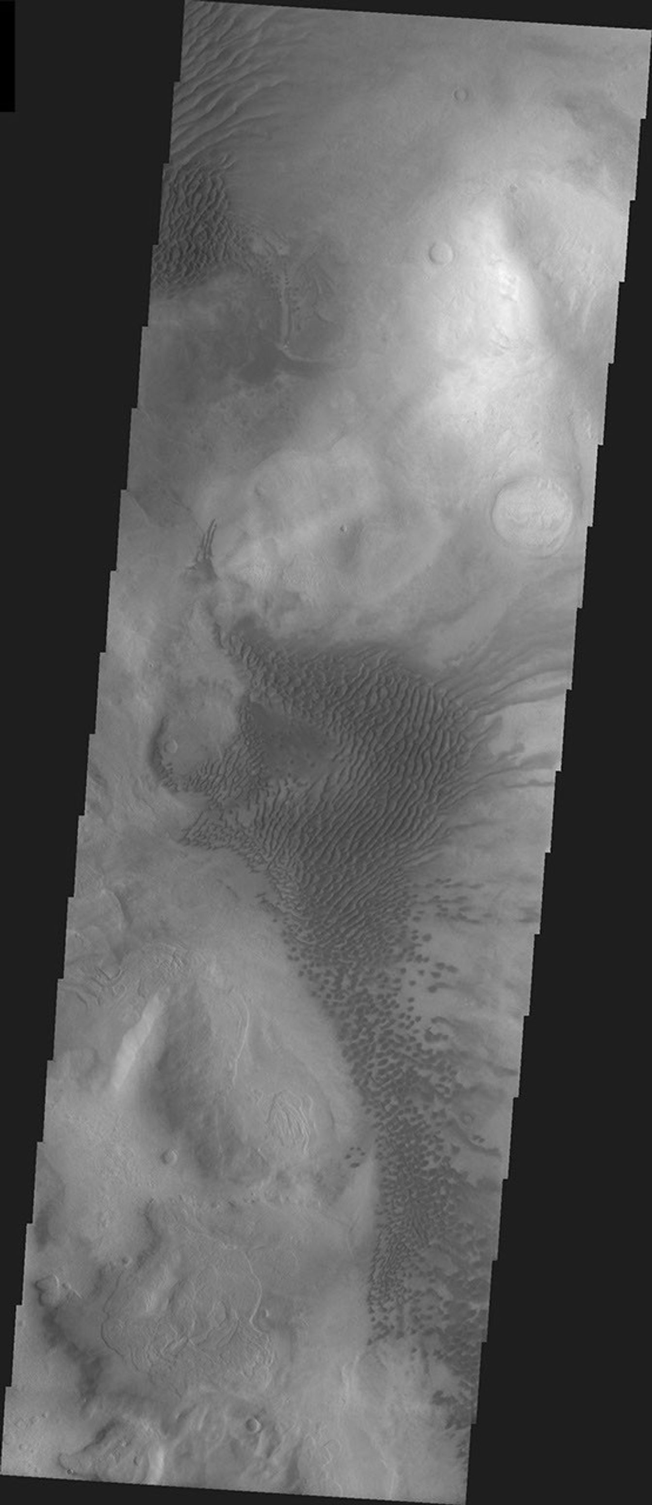 This image from NASA's 2001 Mars Odyssey released on April 15, 2004 shows the surface of Mars during the southern summer season on the Hellas Basin Rim.