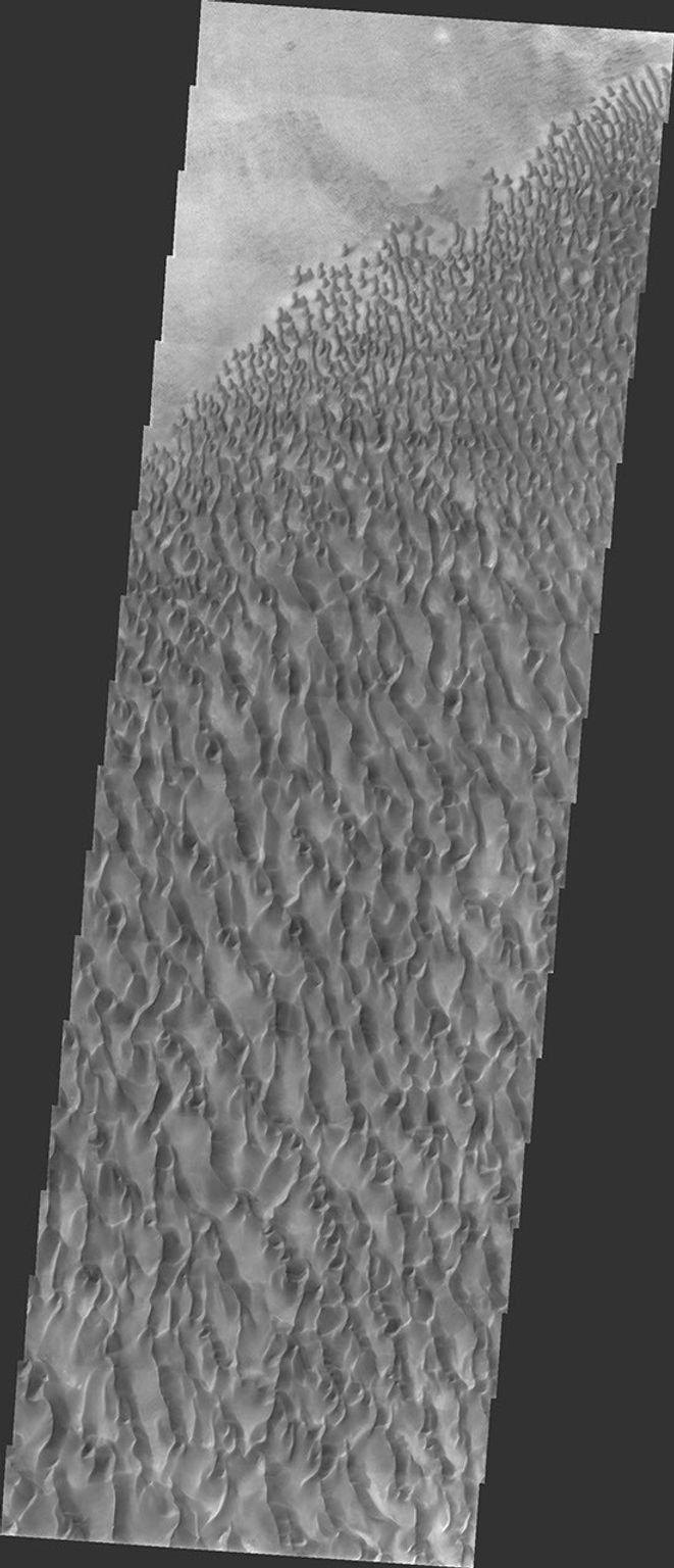 This image from NASA's 2001 Mars Odyssey released on April 16, 2004 shows the surface of Mars during the southern summer season in Proctor Crater.