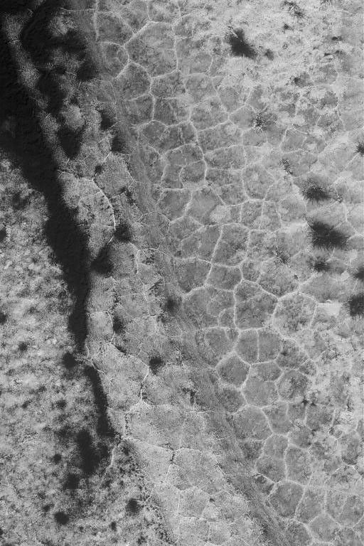 NASA's Mars Global Surveyor shows polygon patterned ground in the south polar region of Mars. Seasonal frost enhances the contrast in the scene.