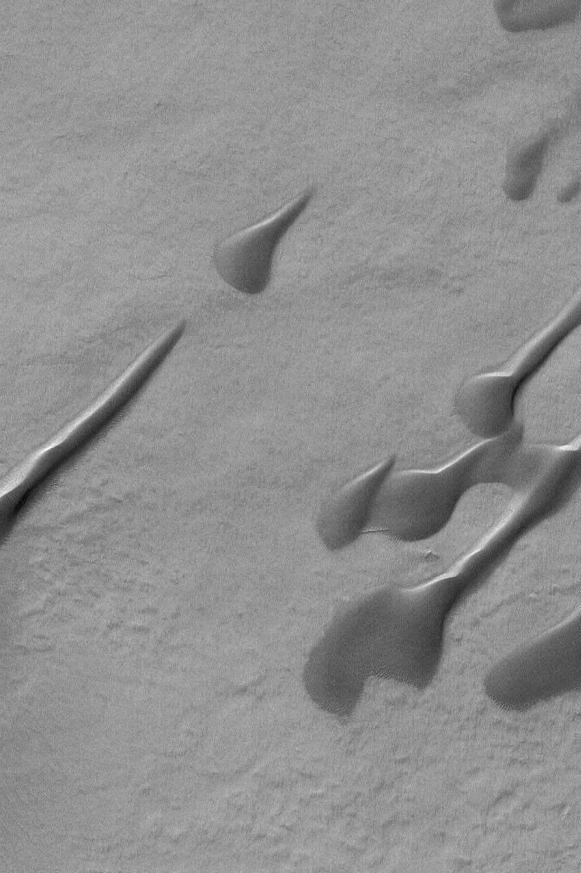 NASA's Mars Global Surveyor shows dark, elongated windblown sand dunes in a south mid-latitude crater on Mars.
