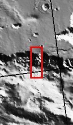 figure 1 for PIA05958