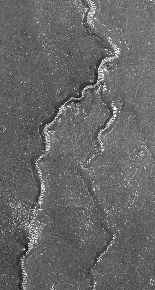NASA's Mars Global Surveyor shows light-toned, windblown ripples on the floors of channels of the Apsus Vallis system on Mars.