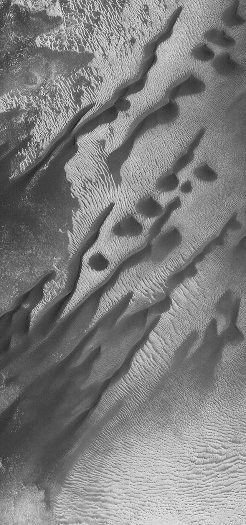 NASA's Mars Global Surveyor shows barchan and linear dunes that seem to have grown from the coalescence of barchans in a crater in the Noachis Terra region on Mars.
