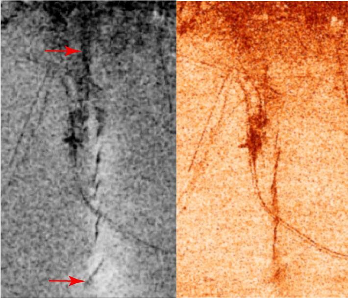 A magnitude 6.5 earthquake devastated the small city of Bam in southeast Iran on December 26, 2003. The two images from ESA's Envisat show similar measures of the radar interferometric correlation in grayscale on the left and in false colors on the right.