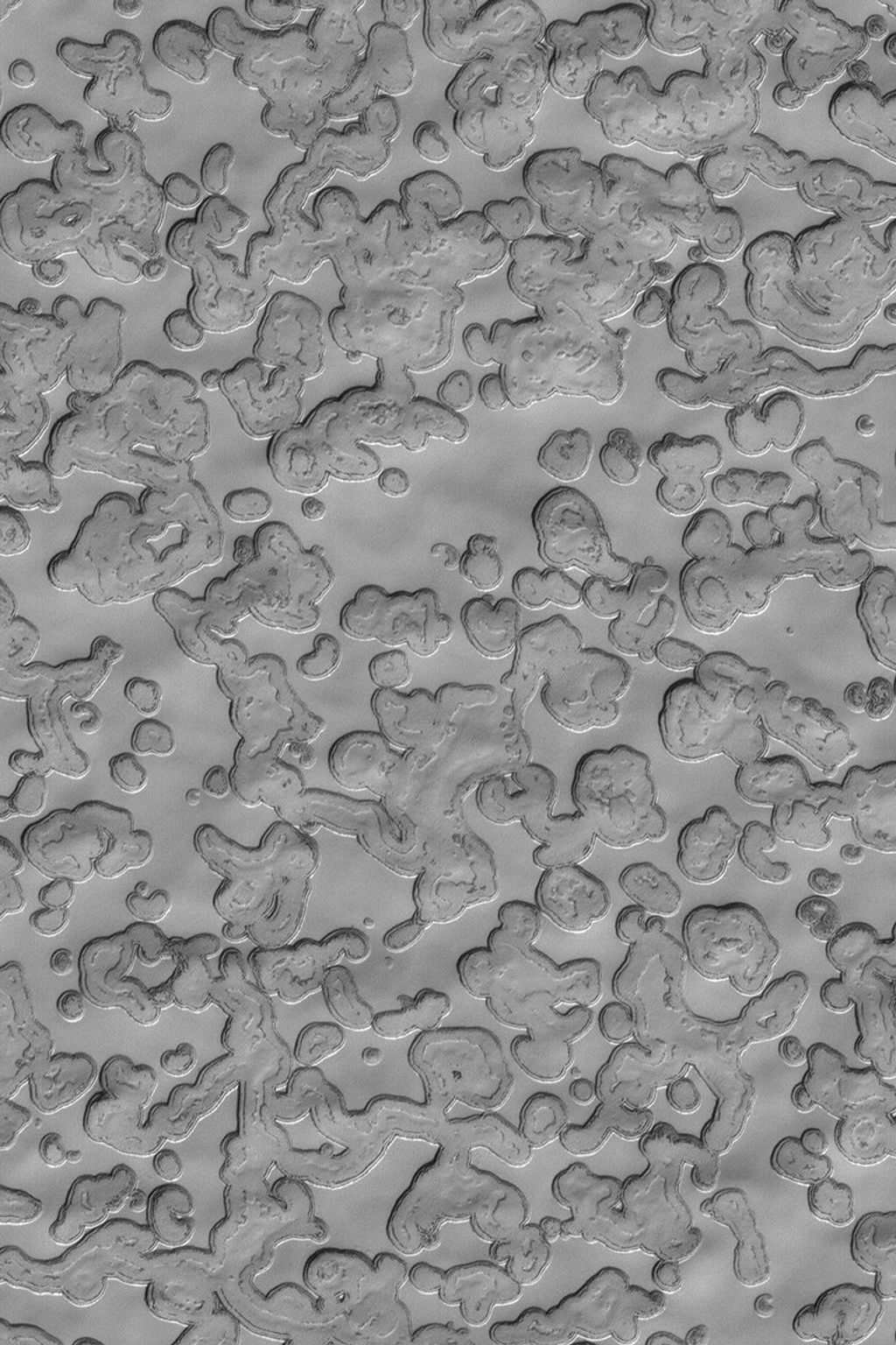 NASA's Mars Global Surveyor shows a mid-summer view of the south polar residual cap in 2004.
