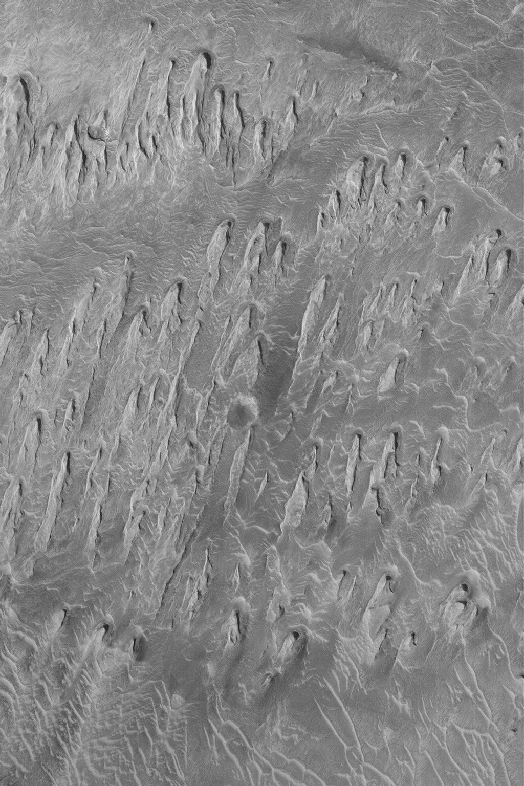 NASA's Mars Global Surveyor shows