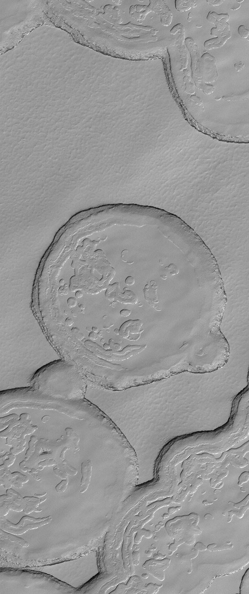 NASA's Mars Global Surveyor shows mesa tops and depressions formed in layered carbon dioxide ice in Mars' south polar residual cap.