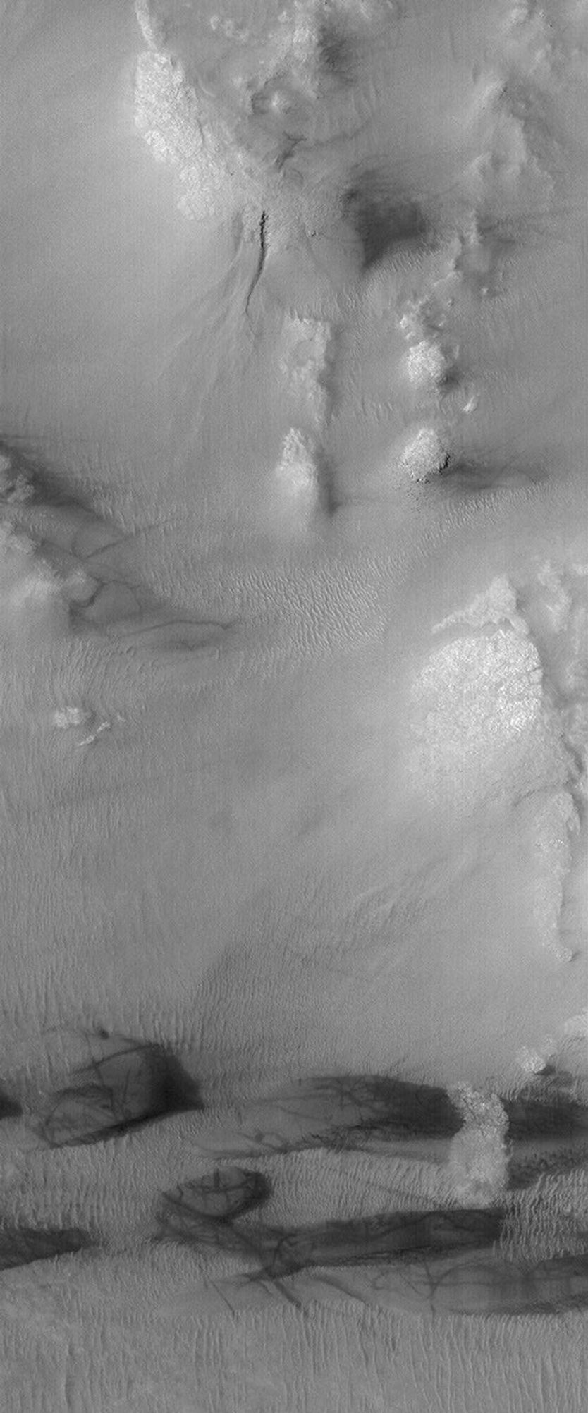 NASA's Mars Global Surveyor shows a scene in southern Galle Crater on Mars, otherwise known as Happy Face Crater. A series of dark sand dunes have been crisscrossed by dust devils.