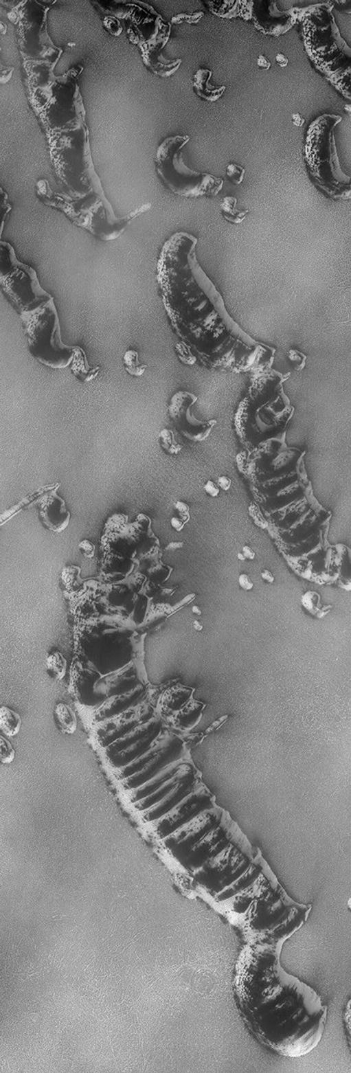 NASA's Mars Global Surveyor shows the state of defrosting north polar sand dunes on Mars on 3 August 2004. Dark areas on the dunes are patches of bare sand; bright areas are remnants of frost deposited during the previous winter.