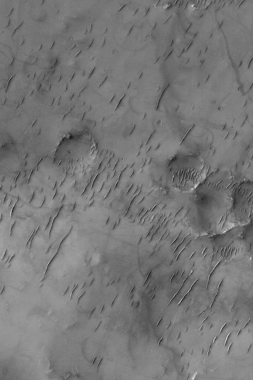 NASA's Mars Global Surveyor shows groupings of large ripple-like windblown bedforms on the floor of a large crater in Sinus Sabaeus, south of Schiaparelli Basin on Mars.