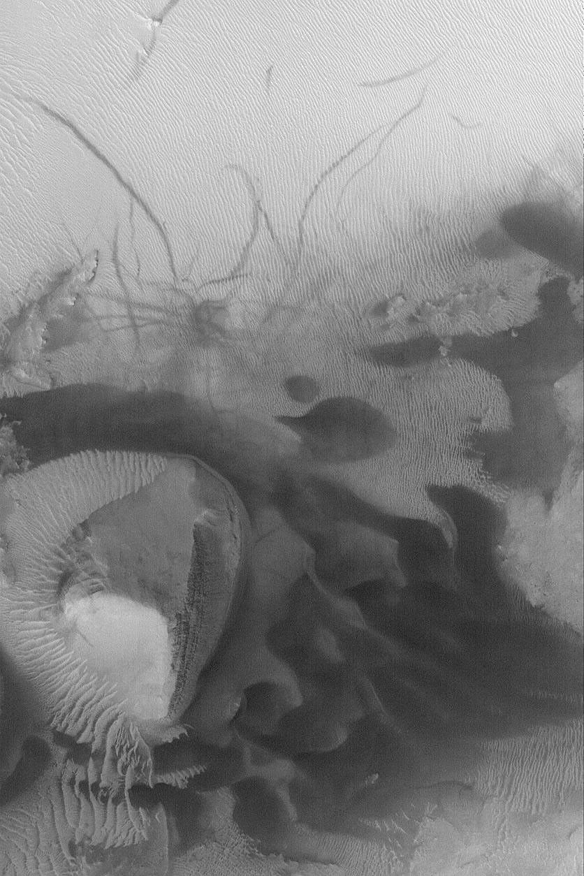 NASA's Mars Global Surveyor shows a suite of dark sand dunes that formed in winds blowing from right to left, along with smaller, lighter-toned ripples and many dark dust devil tracks.