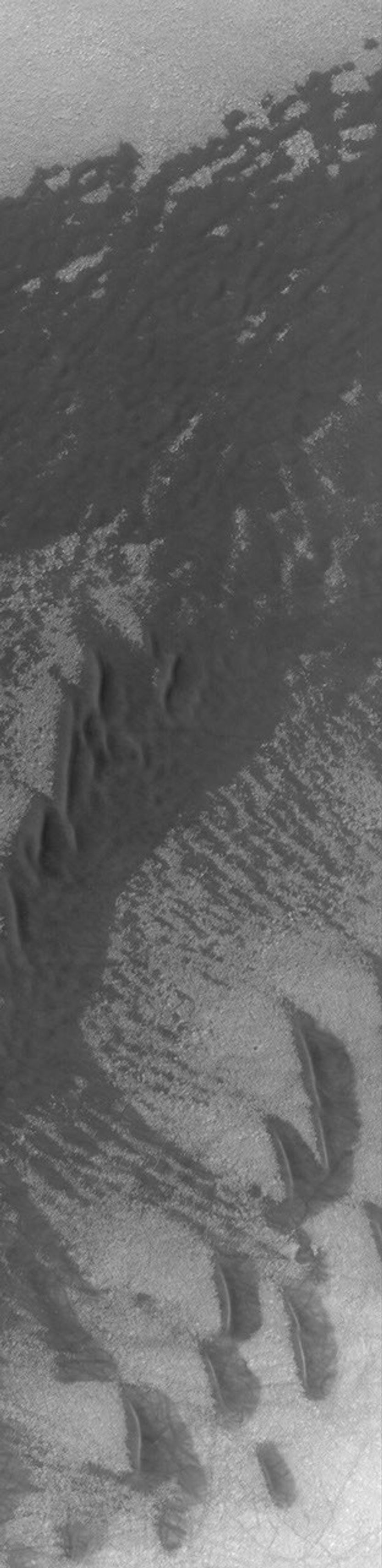 NASA's Mars Global Surveyor shows a field of dunes and a relatively flat sand sheet in a crater on Mars. Most southern high latitude dune fields occur on the floors of impact craters, and many of them are eroded into rounded or flattened forms.