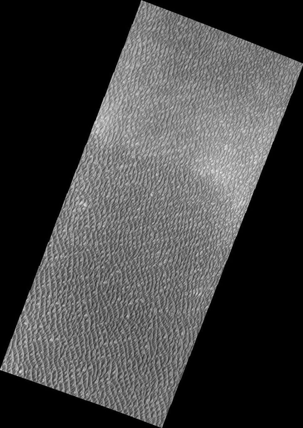 This image released on Sept 2, 2004 from NASA's 2001 Mars Odyssey shows small portion of the extensive region of the martian north pole covered by sand dunes of Olympia Undae. Undae means dunes.