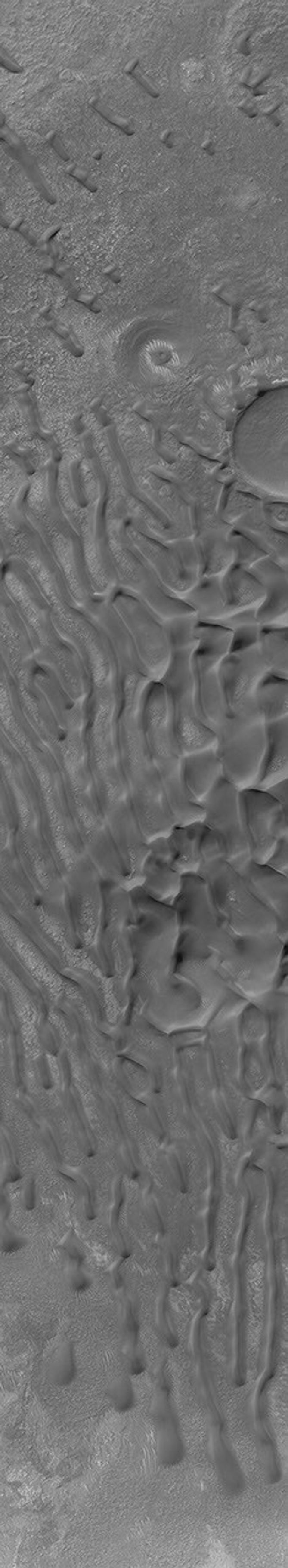 NASA's Mars Global Surveyor shows a field of dark, windblown sand dunes in the Noachis Terra region of Mars.