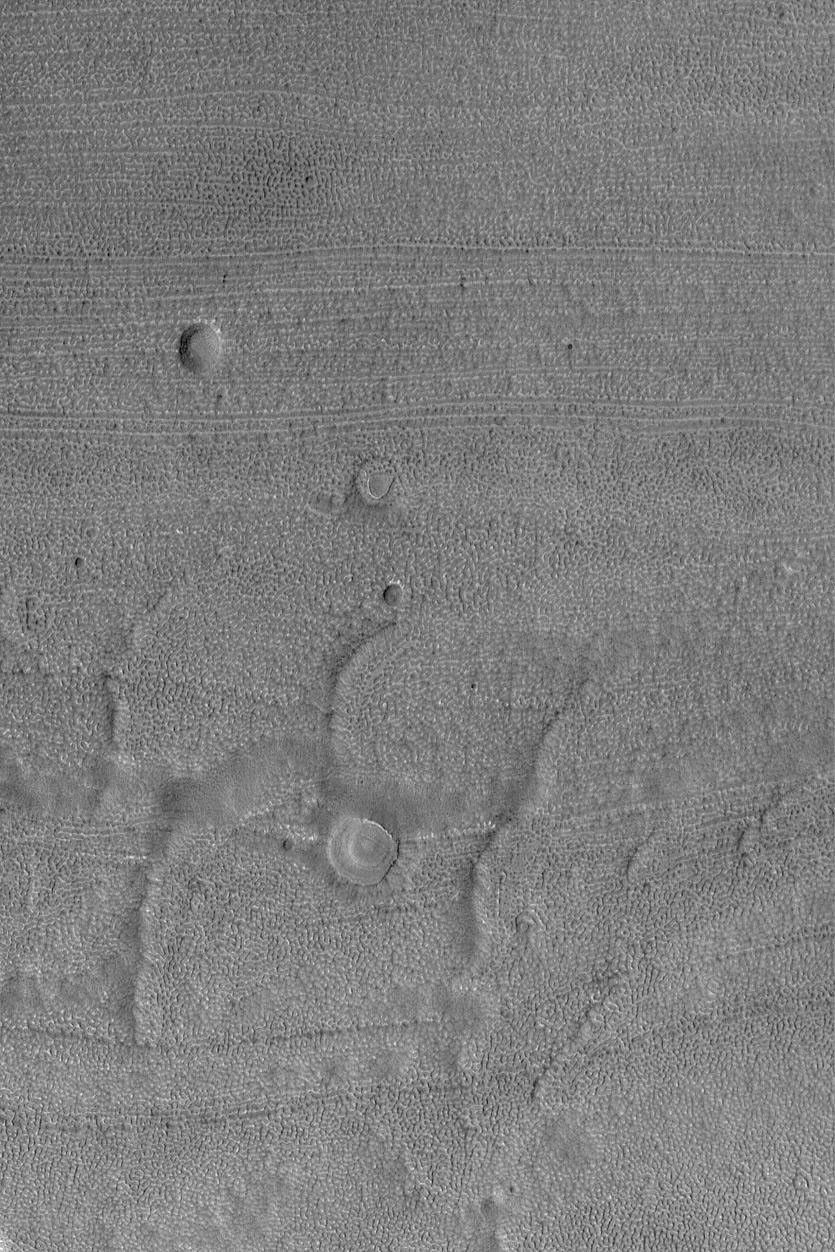 NASA's Mars Global Surveyor shows a fretted terrain valley floor with its characteristic lineated and finely-pitted texture. Four circular features are suspected to be the locations of meteor impact craters that have been largely eroded away.