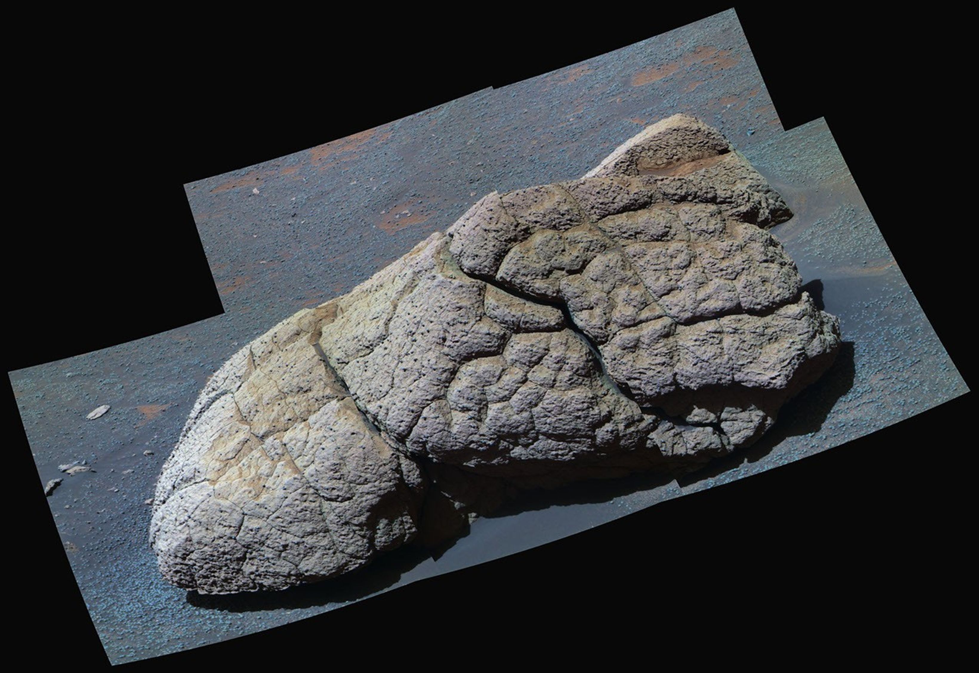 On Oct. 7, 2004, NASA's Mars Exploration Rover Opportunity examined a boulder called 'Wopmay' on Mars, accentuating iron-rich spherical concretions as bluish dots embedded in the rock and on the ground around it.