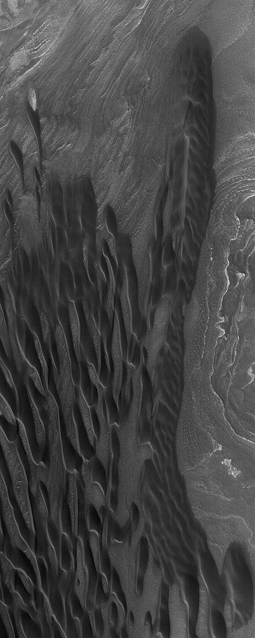 NASA's Mars Global Surveyor shows a grouping of elongated, dark (low albedo) sand dunes in the north polar region of Mars. This picture was acquired during early summer in October 2004.
